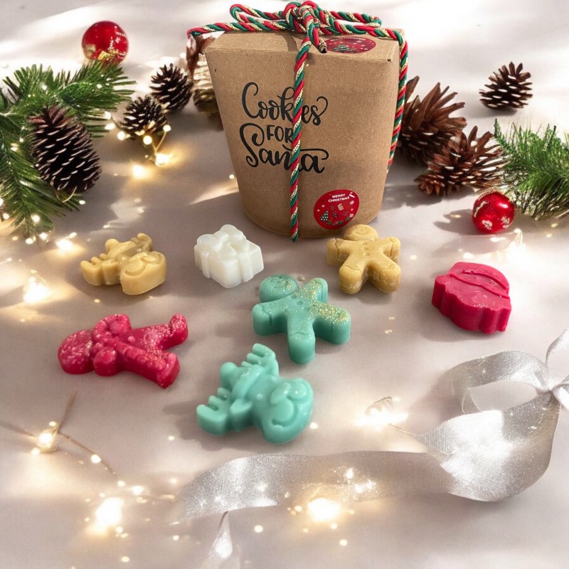 Santa Box Wax Melts 